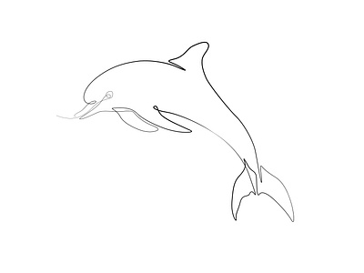 Dolphin black & white vector line drawing illustration
