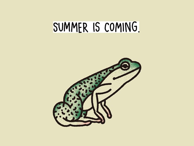 junpping frog animation art design diary drawing frog gifloop illustration summer