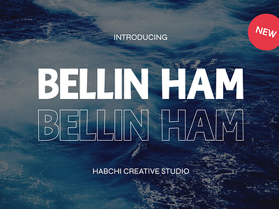 Bellin Ham by Habchi Creative Studio heading