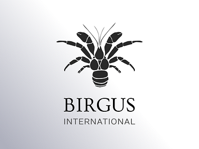 Birgus International branding design illustration logo marketing