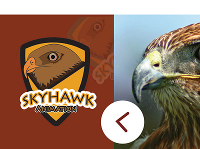 Skyhawk Animations 3d animation branding design graphic design illustration logo motion graphics ui