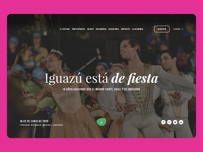 Iguazú en Concierto design ui ux web website
