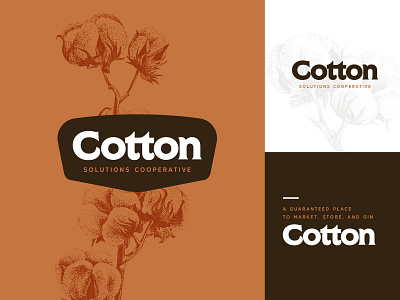 Cotton Solutions Cooperative logo 2 art direction cotton farming logo memphis