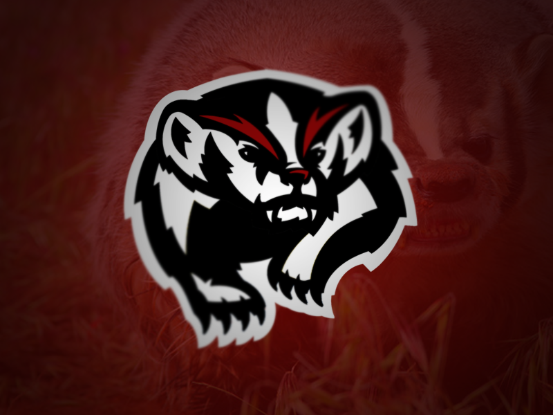 Wisconsin Badgers Concept by Mark Crosby - Dribbble