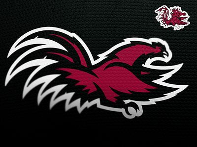 South Carolina Gamecocks Logo college1 gamecocks logo ncaa south carolina sports