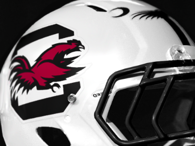 South Carolina Gamecocks Helmet college1 gamecocks logo ncaa south carolina sports