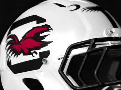 South Carolina Gamecocks Helmet