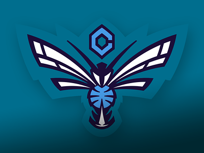 Charlotte Hornets logo branding charlotte hornets logos nba sports