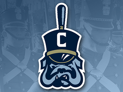 The Citadel Bulldogs branding logos military ncaa sports