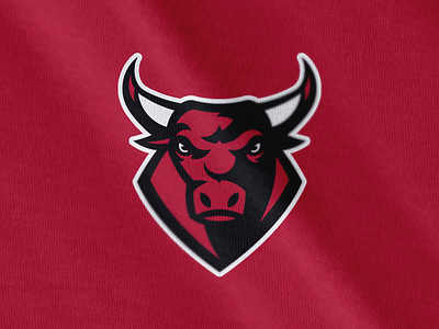 Chicago Bulls concept logo basketball branding logo michael jordan nba sports