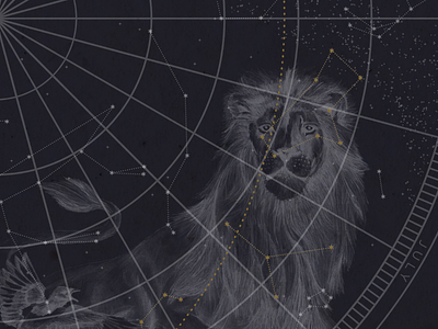 Celestial Planisphere Sketch Test constellations map stars zodiac