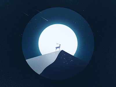 Deer 100days deer deers design icon illustration meteor night 噪点插画 夜晚 插画 流星 鹿