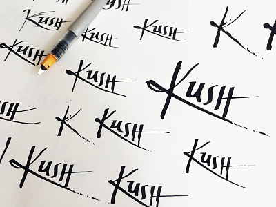 Kush Calligraphy brush calligraphy identity lettering logo logotype miami pen pilot type typeface typography