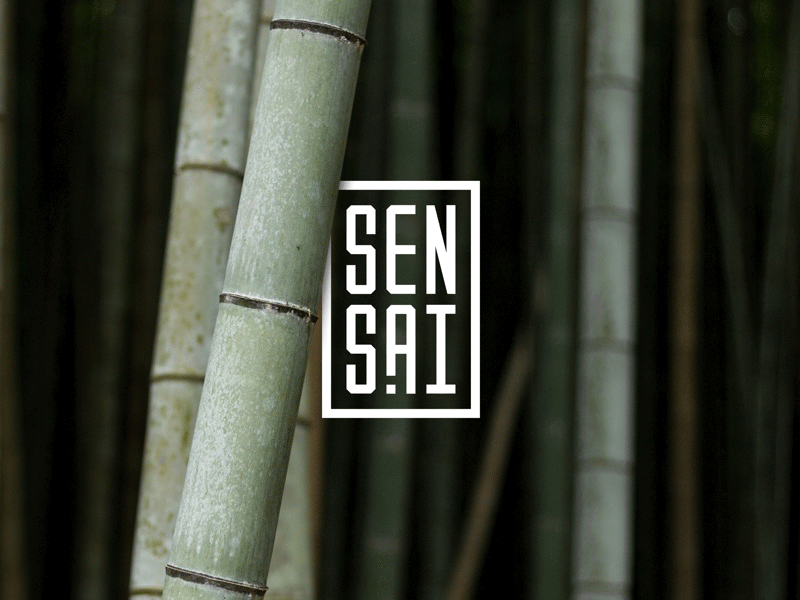 Sens.ai Logo logo sensai social media