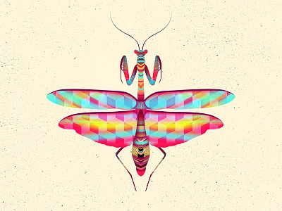 Blazing Mantis bug color insect mantis praying rainbow texture