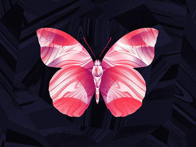 Butterfly bug butterfly illustration insect photoshop