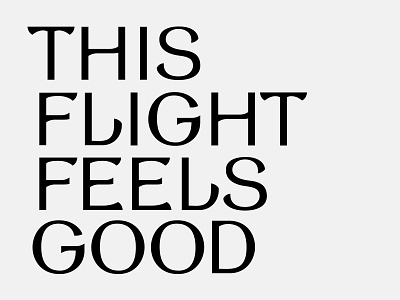 This Flight Feels Good bw font typeface