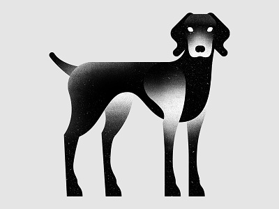 Black Vizsla black bw dog illustration lenny vizsla white