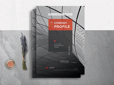 Company Profile a4 agency annual report branding brochure company profile corporate creative envato graphic design indesign informational magazine professional template trendy