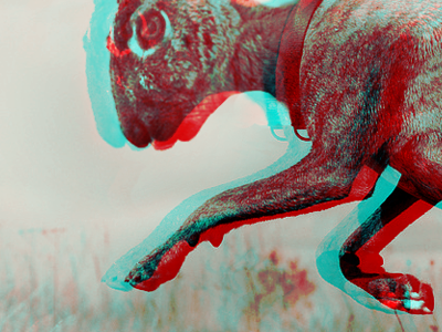 The Cryptid 3d cyan dog field hound manipulation photoshop rabbit red sagmeister stefan