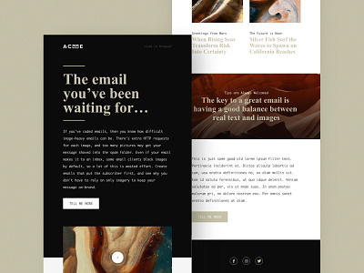 Email Design Template