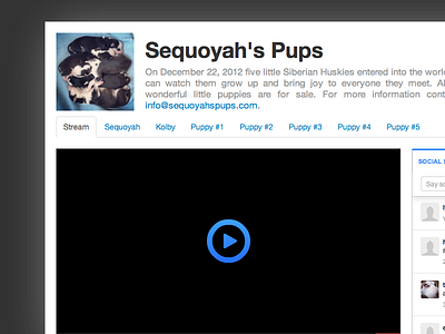 Puppy Site api bootstrap css design dog flickr html html5 husky javascript minimal puppies site test