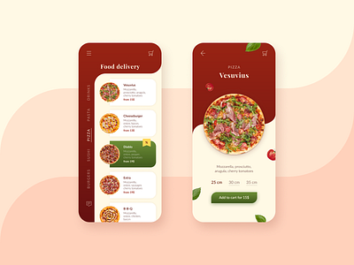 Delivery App Concept