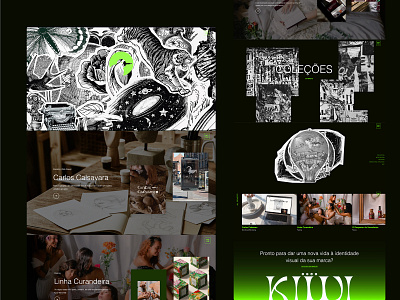 Kiwi Sttudio Web Site branding design graphic design site ui web web design website