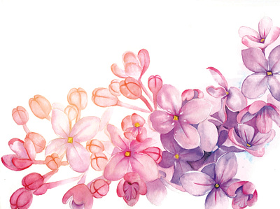 Flor em aquarela aquarela botanicart flor flower graphic design illustration nature pink watercolor