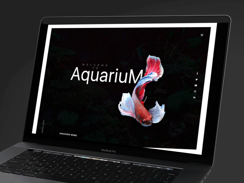 Aquarium Concept animation concept fish framer landing page parallax