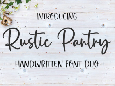 Rustic Party design font graphic design handwritten typography