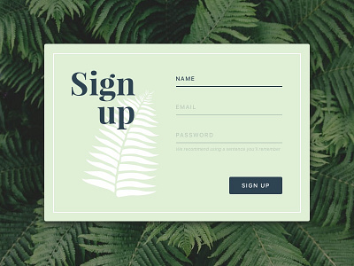 Daily UI #001 daily ui sign up ui