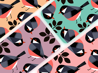 Bird design illustration illustration／ui typography