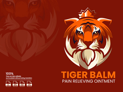 Logo and Brand Identity - Tiger Balm branding design flat graphic design ico icon illustration logo sk typography vector