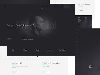 Financial advisor personal website design financial personal ui ux web