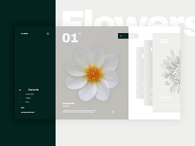 Herbarium Concept design flowers herbal ui ux web