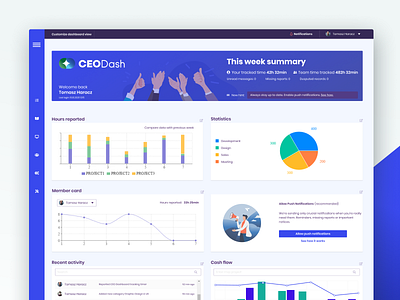 CEO Dash Dashboard View