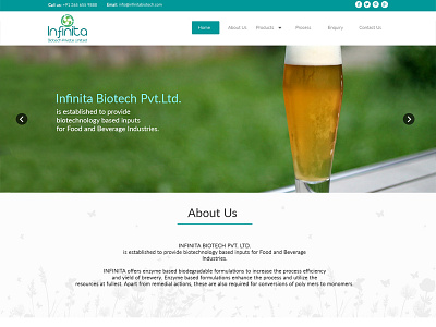 Infinita Biotech home page website wordpress
