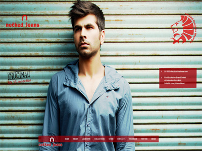 Neckedjeans cms drupal gui home page jquery landing page ui ux wordpress