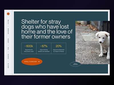 Shelter for dogs 2021 trends creative design dog dog shelter dogs layout platform sevice shelter stray dogs typography ui ui design ui elements uidesign ux web web design website