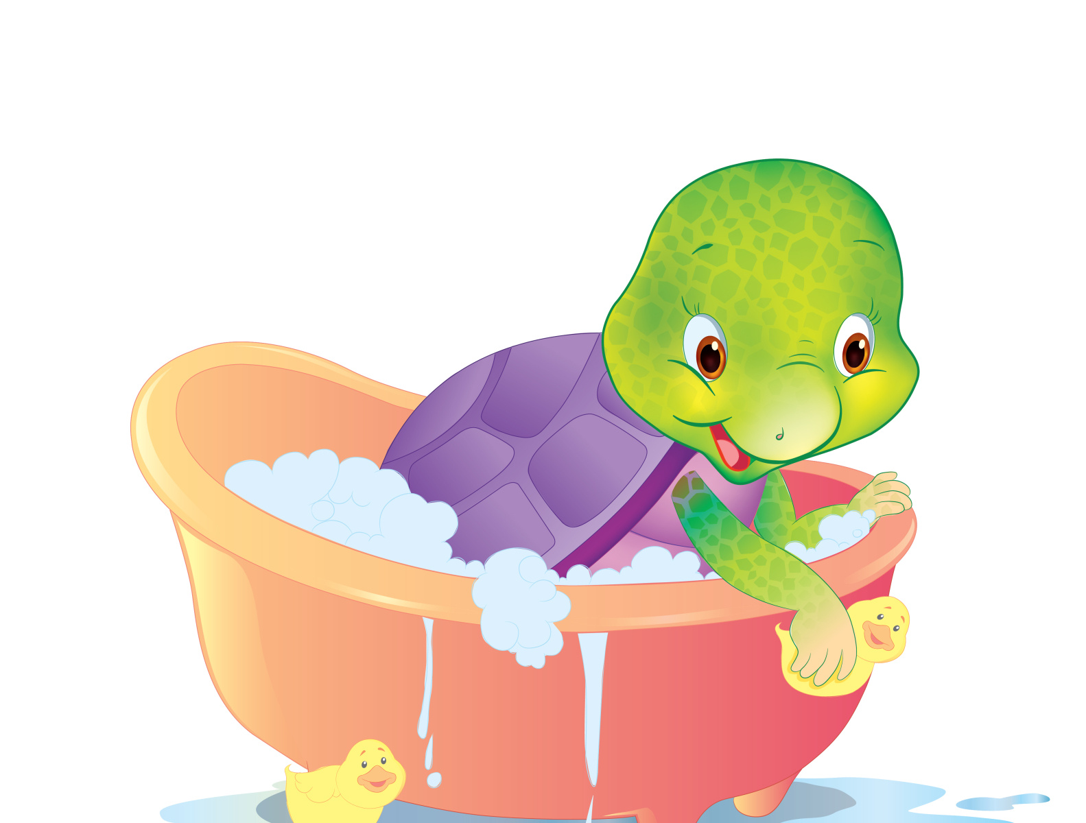 online-pre-school-in-india-by-purpleturtle-on-dribbble