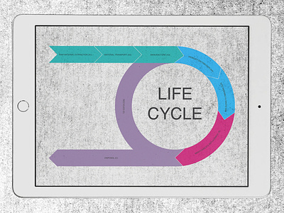 life cycle infographic