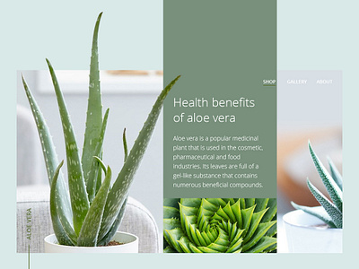 Daily UI - Aloe Vera aloe vera dailyui ui