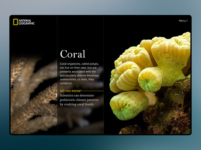 Daily UI - Coral coral dailyui national geographic