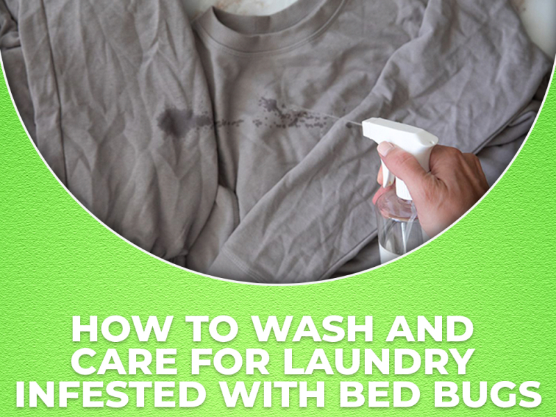 How To Wash And Care For Laundry Infested With Bedbugs By True Fresh On ...