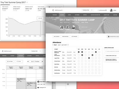 Wireframes - coach director view