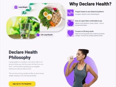 Food and Health website design