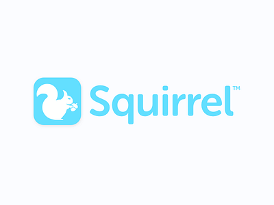 Squirrel App Branding branding bucket list goals pfm squirrel startup