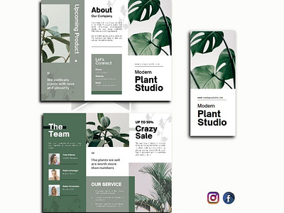 Creative Brochure branding brochure design graphic design