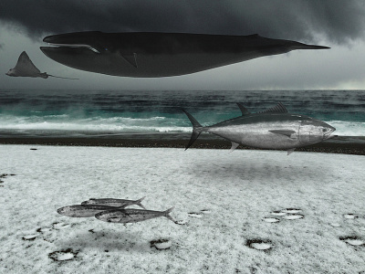 Exodus or Slaughter creative direction dark design fish sea whale